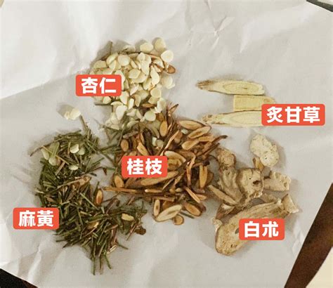 麻黃加朮湯|醫砭 » 常用方劑 » 麻黃加朮湯